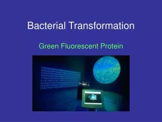 Bacterial Transformation