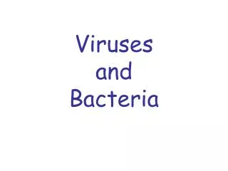 Viruses and Bacteria