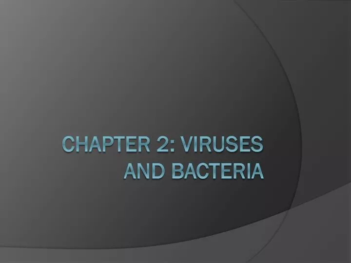 chapter 2 viruses and bacteria