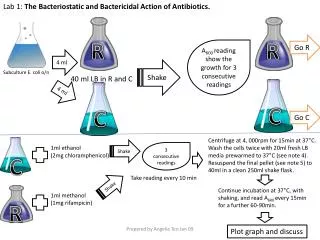 Lab 1: The Bacteriostatic and Bactericidal Action of Antibiotics.