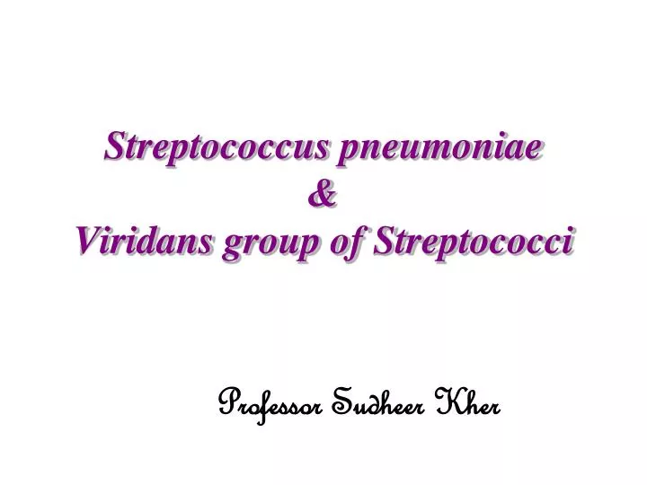 streptococcus pneumoniae viridans group of streptococci
