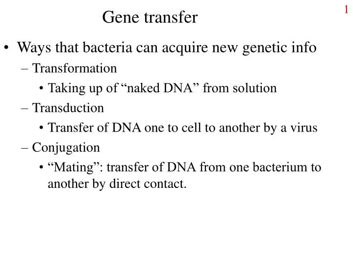 gene transfer
