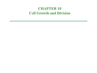 CHAPTER 10 Cell Growth and Division