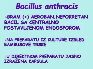 bacillus anthracis