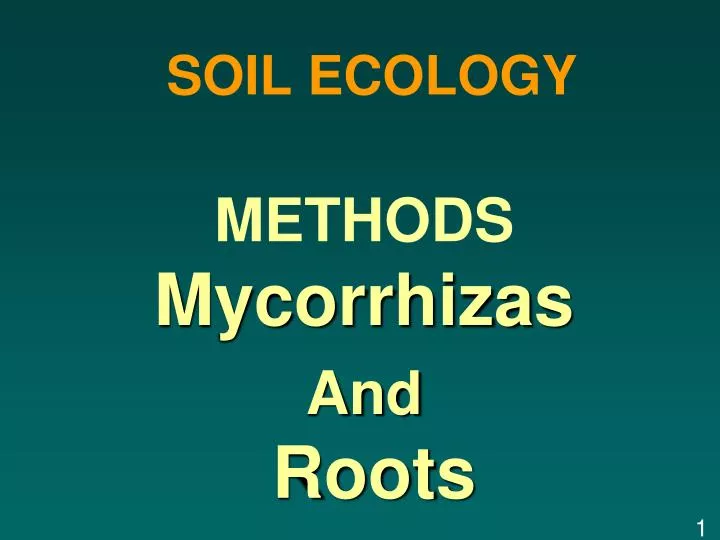soil ecology