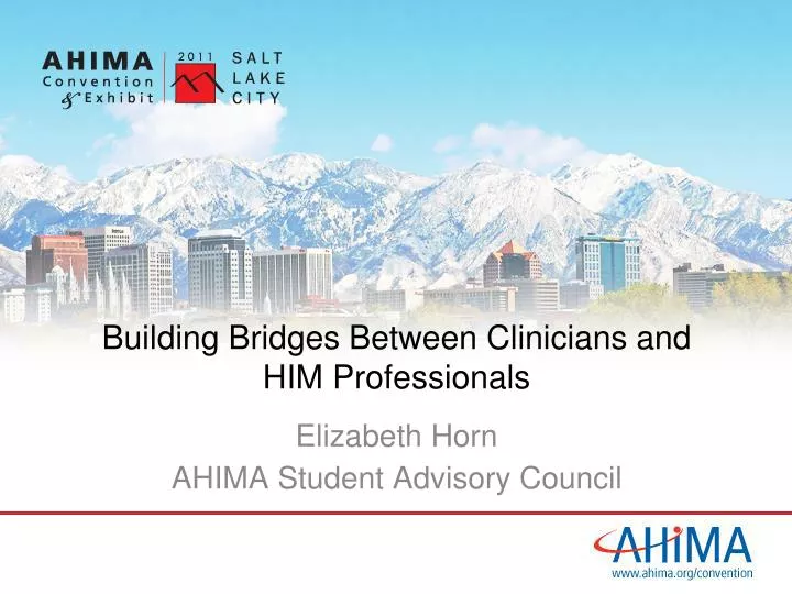 building bridges between clinicians and him professionals