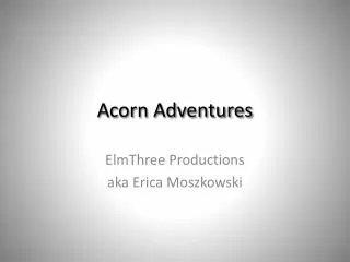 Acorn Adventures