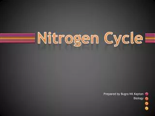 Nitrogen Cycle