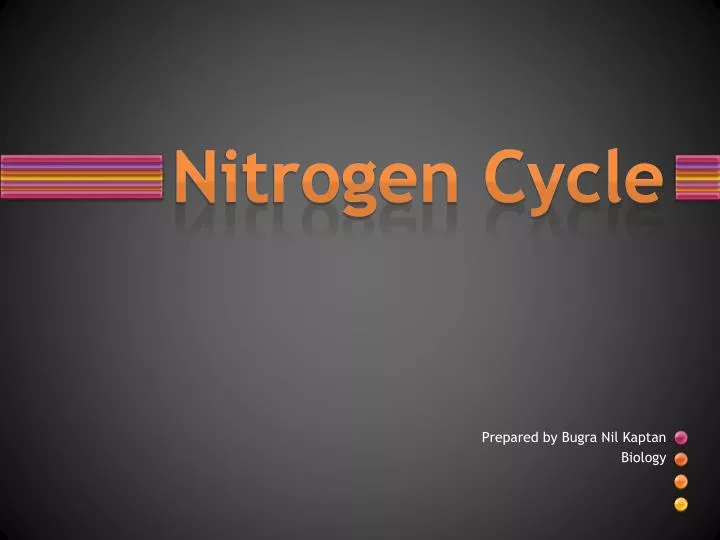 nitrogen cycle