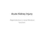 PPT - Acute Kidney Injury PowerPoint Presentation, Free Download - ID ...