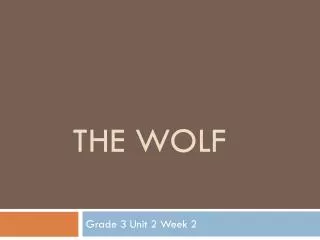 the wolf