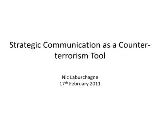 Strategic Communication as a Counter-terrorism Tool Nic Labuschagne 17 th February 2011