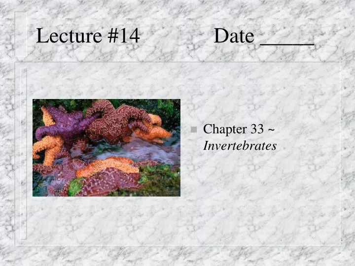 lecture 14 date