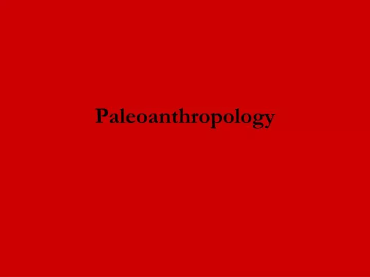 paleoanthropology
