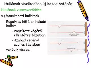 hull mok visszaver d se