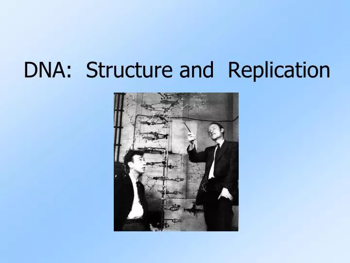 dna structure and replication