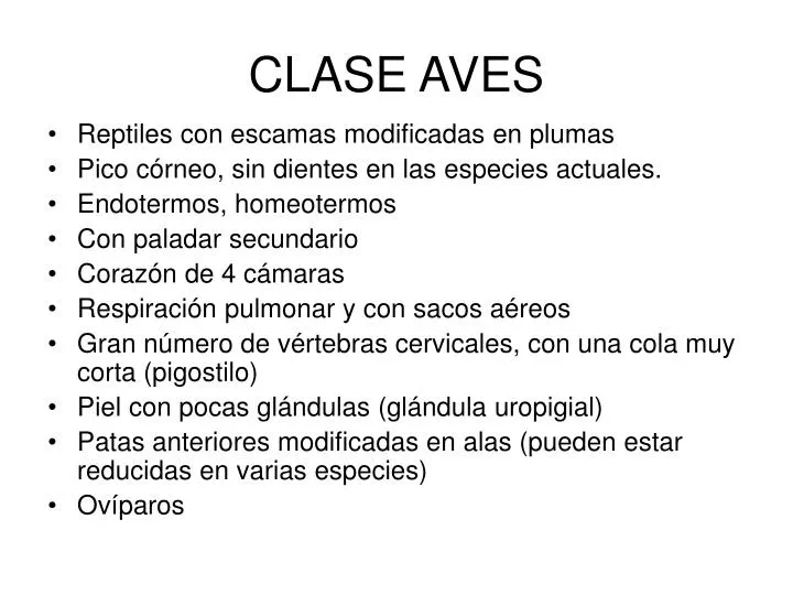 clase aves