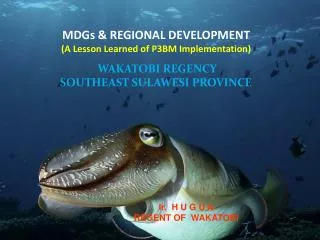 MDGs &amp; REGIONAL DEVELOPMENT (A Lesson Learned of P3BM Implementation)