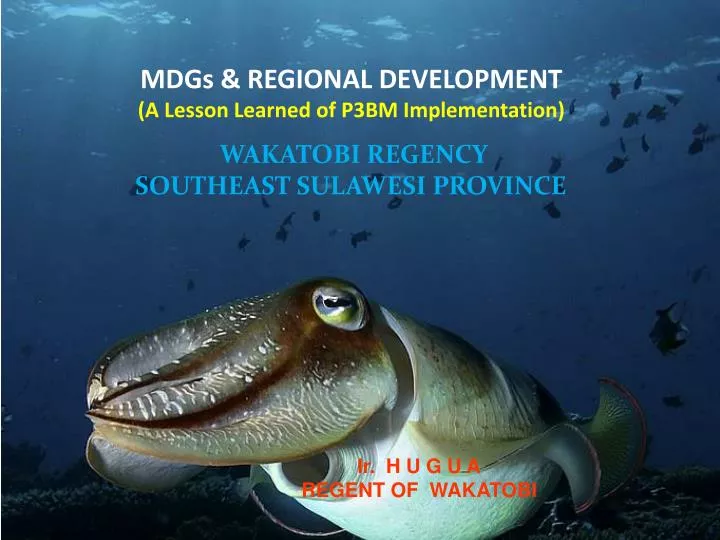 mdgs regional development a lesson learned of p3bm implementation