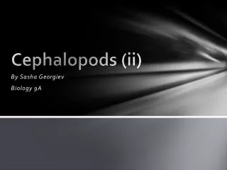 Cephalopods (ii)