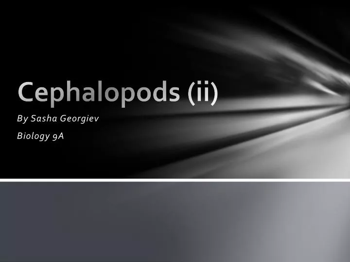 cephalopods ii