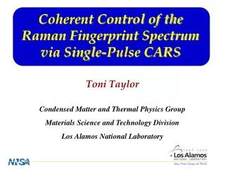 Coherent Control of the Raman Fingerprint Spectrum via Single-Pulse CARS