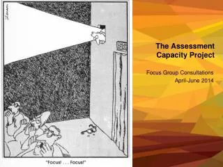 The Assessment Capacity Project