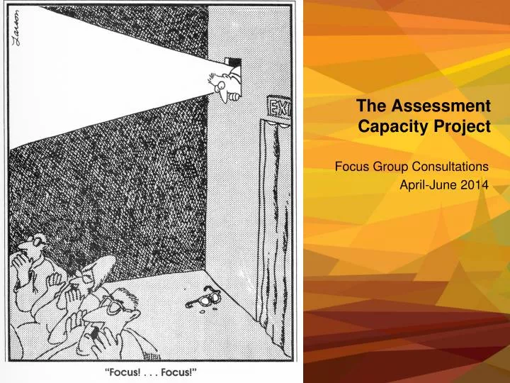 the assessment capacity project