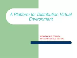 A Platform for Distribution Virtual Environment
