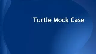 Turtle Mock Case