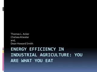 Energy Efficiency in Industrial Agriculture: You Are What You Eat