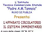 L'Istituto Tecnico Commerciale Statale - slide 1