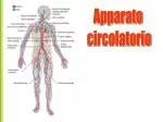 Apparato circolatorio - slide 1