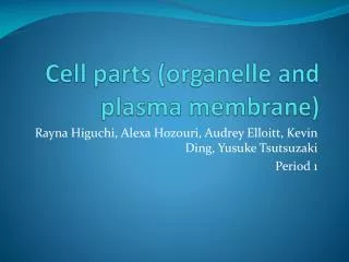 Cell parts (organelle and plasma membrane)