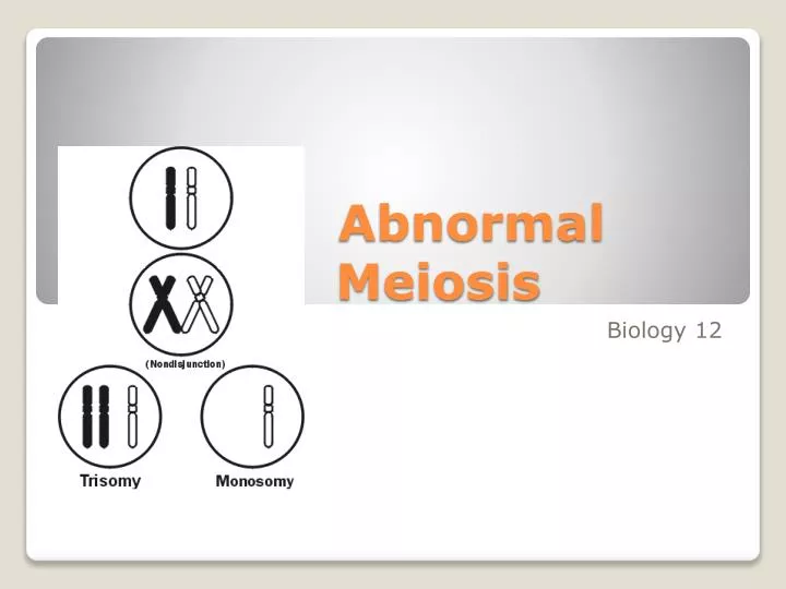 abnormal meiosis