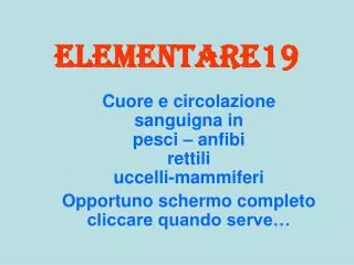 elementare19