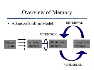 Overview of Memory