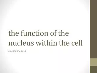 the function of the nucleus within the cell