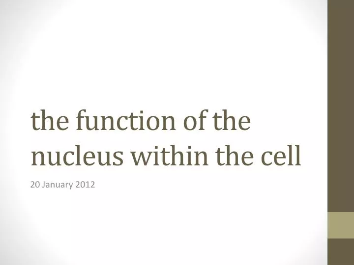 the function of the nucleus within the cell