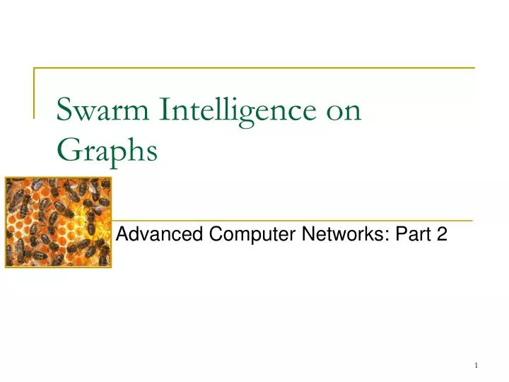 swarm intelligence on graphs