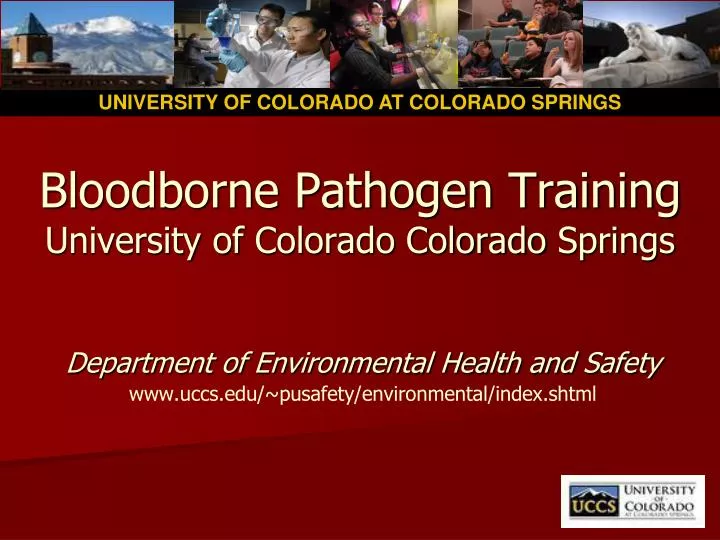 bloodborne pathogen training university of colorado colorado springs