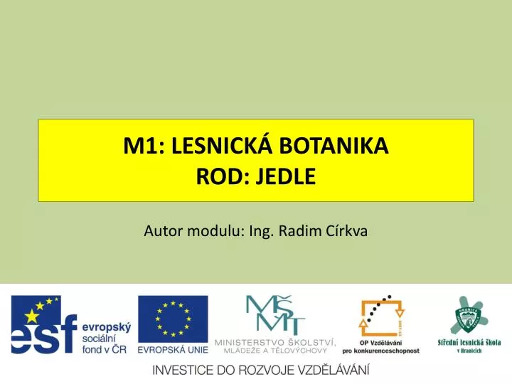 m1 lesnick botanika rod jedle