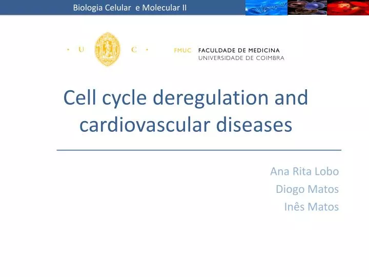 cell cycle deregulation and cardiovascular diseases