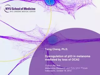 Tsing Cheng, Ph.D.
