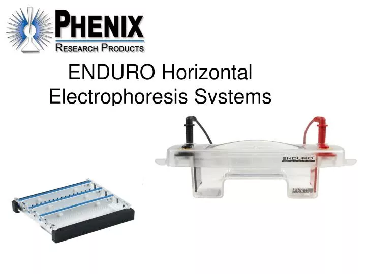enduro horizontal electrophoresis systems