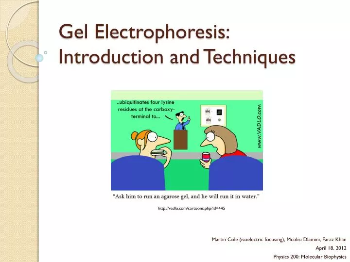 gel electrophoresis introduction and techniques