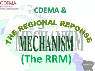 THE REGIONAL REPONSE