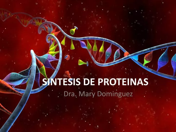 sintesis de proteinas