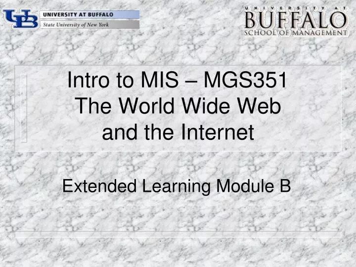 intro to mis mgs351 the world wide web and the internet