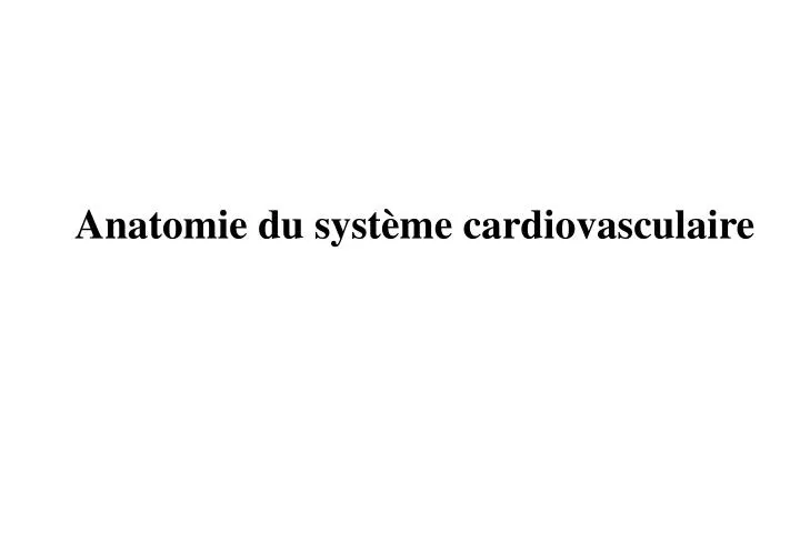 anatomie du syst me cardiovasculaire